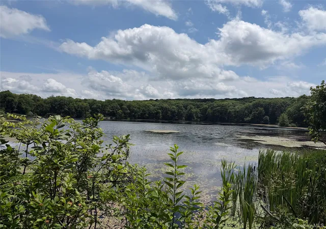 Homes for sale in Philipstown, NY | 599 E Mountain Rd N, Philipstown, NY 10516 | MLS# 1019929