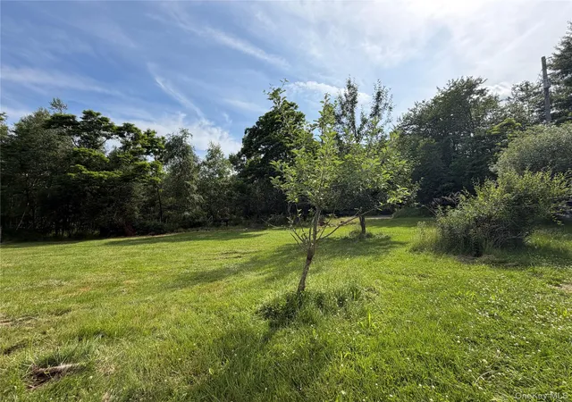 Homes for sale in Liberty, NY | 3 Kehrley Ln, Liberty, NY 12783 | MLS# 1019946