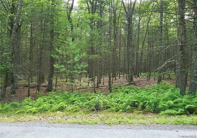 Homes for sale in Highland, NY | 00 Summit Dr, Highland, NY 12792 | MLS# 1019949