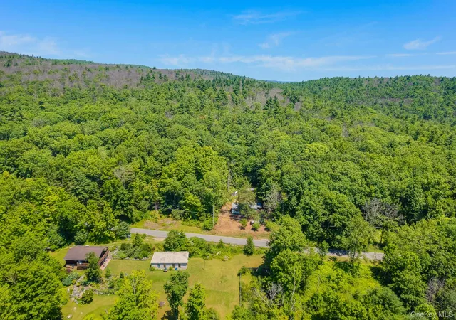 Homes for sale in Wawarsing, NY | 296 Irish Cape Rd, Wawarsing, NY 12458 | MLS# 1020026
