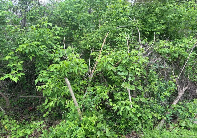3rd image of 21 Washington Ave N, North Castle, NY 10603 | MLS# 1020244