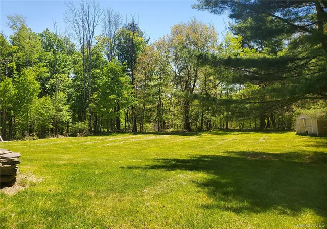 Homes for sale in Mamakating, NY | 34 Fire Tower Rd, Mamakating, NY 12721 | MLS# 1020717