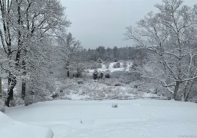 41st image of 96 Wittenberg Rd, Woodstock, NY 12409 | MLS# 1020839