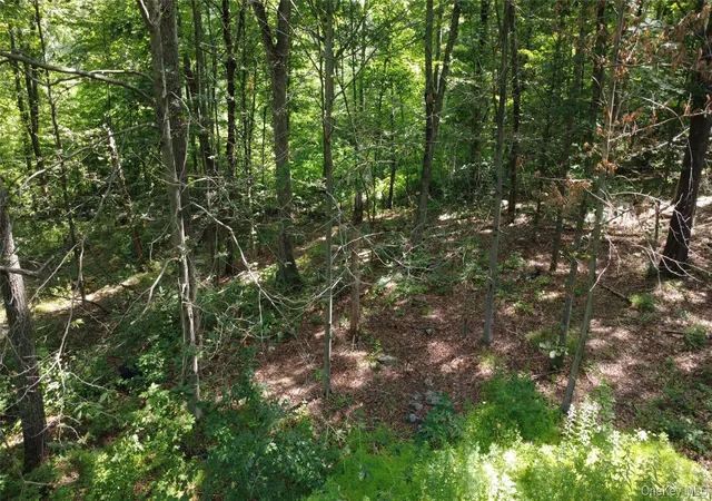 3rd image of 36 Sylvia Barlow Wy, Southeast, NY 10509 | MLS# 1020928