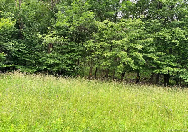 Homes for sale in Fremont, NY | T R 84, Fremont, NY 12736 | MLS# 1020940