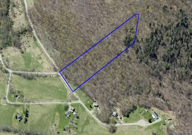 Homes for sale in Fremont, NY | T R 84, Fremont, NY 12736 | MLS# 1020940