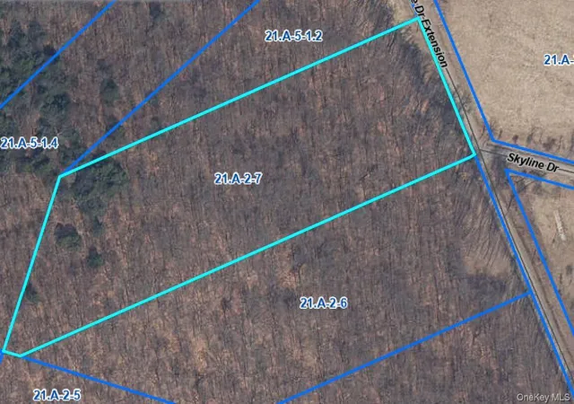 Homes for sale in Fremont, NY | T R 84, Fremont, NY 12736 | MLS# 1020940