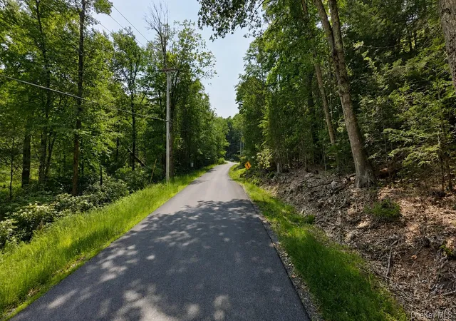 Homes for sale in Fallsburg, NY | Taylor Rd, Fallsburg, NY 12763 | MLS# 1021055