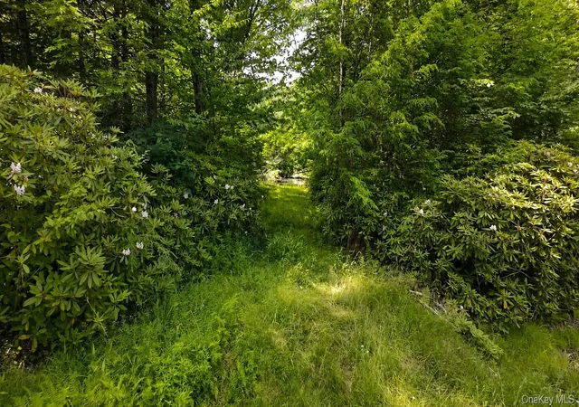 Homes for sale in Fallsburg, NY | Taylor Rd, Fallsburg, NY 12763 | MLS# 1021055