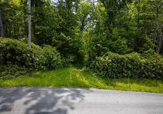 Homes for sale in Fallsburg, NY | Taylor Rd, Fallsburg, NY 12763 | MLS# 1021055