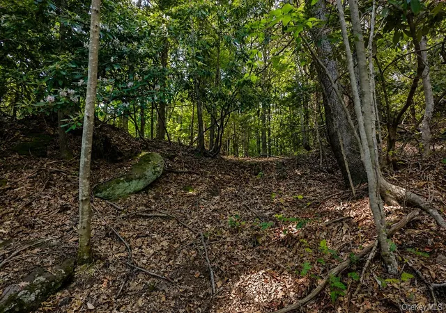 Homes for sale in Fallsburg, NY | Taylor Rd, Fallsburg, NY 12763 | MLS# 1021055