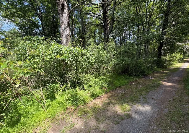 Homes for sale in Lumberland, NY | Belair Rd, Lumberland, NY 12737 | MLS# 1021309