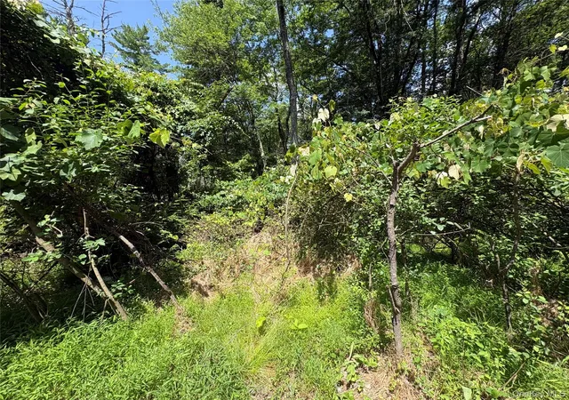Homes for sale in Lumberland, NY | Belair Rd, Lumberland, NY 12737 | MLS# 1021309