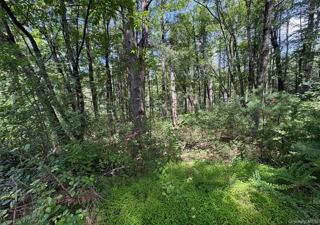 Homes for sale in Lumberland, NY | Belair Rd, Lumberland, NY 12737 | MLS# 1021309