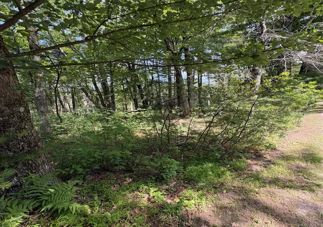 Homes for sale in Lumberland, NY | Belair Rd, Lumberland, NY 12737 | MLS# 1021309