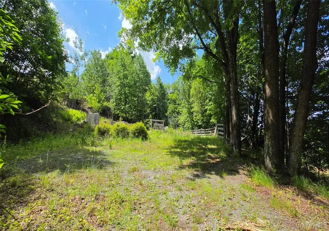 Homes for sale in Fallsburg, NY | 290 Cypert Rd, Fallsburg, NY 12788 | MLS# 1021333