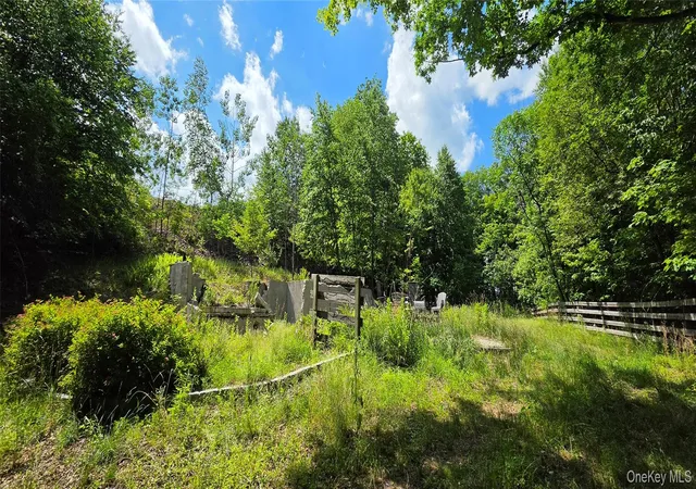 Homes for sale in Fallsburg, NY | 290 Cypert Rd, Fallsburg, NY 12788 | MLS# 1021333