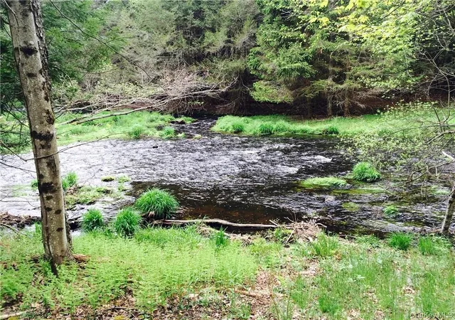 Photo 2 of Land for sale at Tbd Chapin Trl, Bethel, NY 12786 | MLS# 1021388 | Listing updated on 2026-08-11