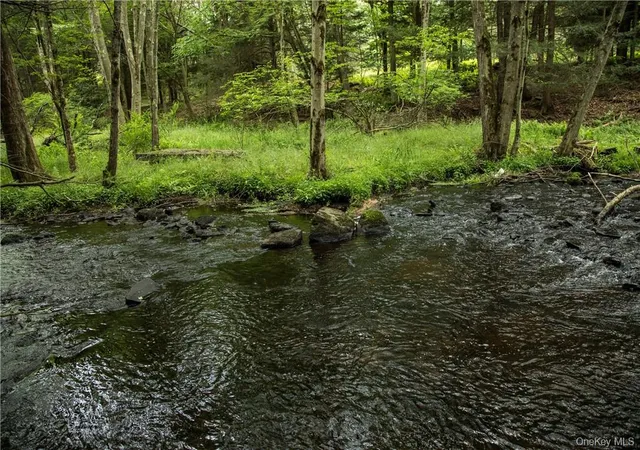 Photo 3 of Land for sale at Tbd Chapin Trl, Bethel, NY 12786 | MLS# 1021388 | Listing updated on 2026-08-11