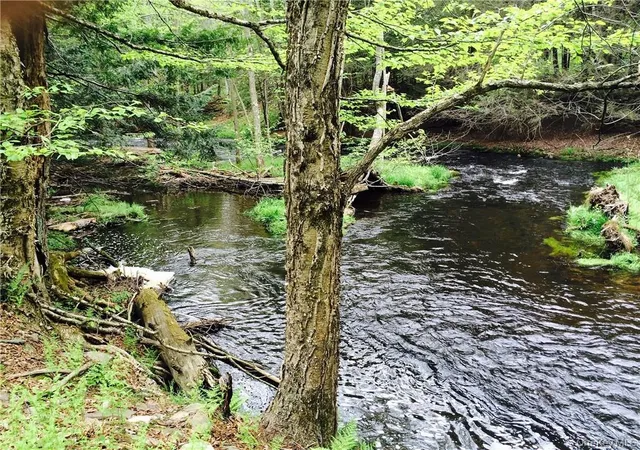 Photo 4 of Land for sale at Tbd Chapin Trl, Bethel, NY 12786 | MLS# 1021388 | Listing updated on 2026-08-11