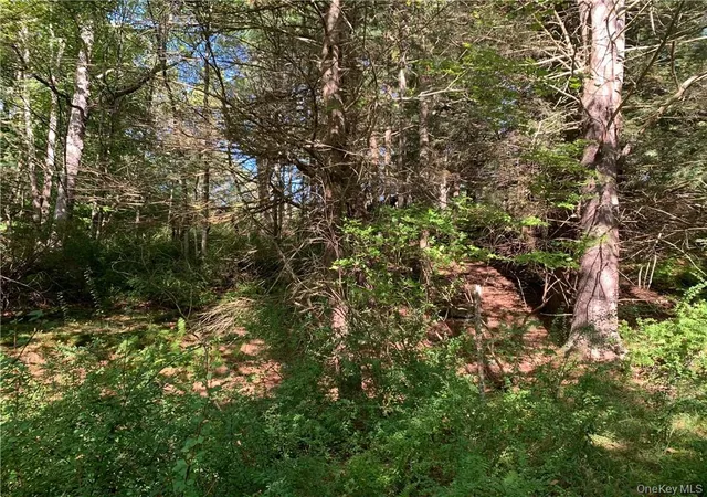 Photo 5 of Land for sale at Tbd Chapin Trl, Bethel, NY 12786 | MLS# 1021388 | Listing updated on 2026-08-11