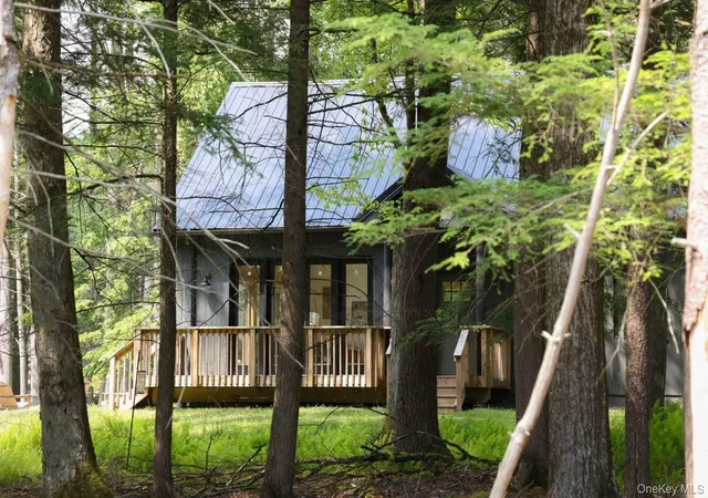 Homes for sale in Tusten, NY | 305 Reyer Rd, Tusten, NY 12764 | MLS# 1021856