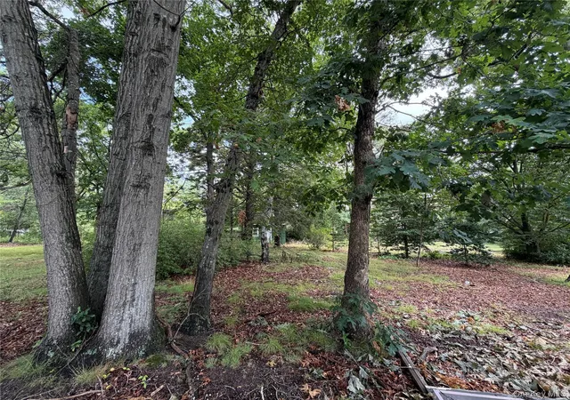 Photo 3 of Single family home for sale at 287 Amityville St, Islip, NY 11752 | MLS# 1021879 | Listing updated on 2026-07-29