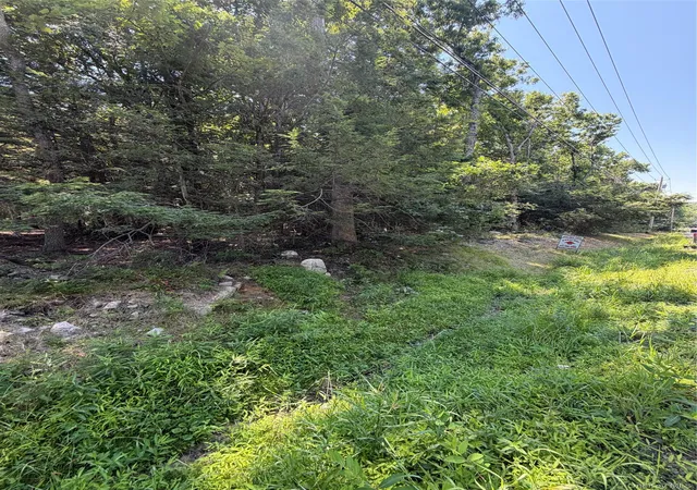 Photo 1 of Sale Pending at County Route 56, Bloomingburg, NY 12721 | MLS# 1022170 | Listing updated on 2026-09-16
