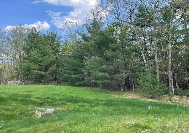 Homes for sale in Mamakating, NY | 9 Masten Lake Ct, Mamakating, NY 12790 | MLS# 1022368