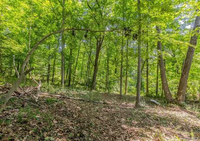 Photo 3 of Land for sale at Woodin Ln, Pawling, NY 12564 | MLS# 1022374 | Listing updated on 2026-07-29