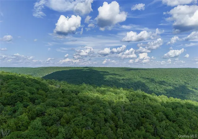 Homes for sale in Forestburgh, NY | X Wilderness Trl, Forestburgh, NY 12777 | MLS# 1022571