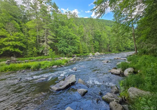 Homes for sale in Forestburgh, NY | X Wilderness Trl, Forestburgh, NY 12777 | MLS# 1022571