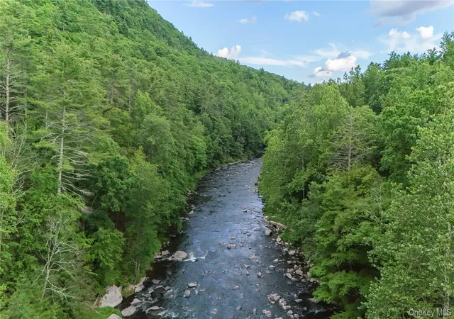 Homes for sale in Forestburgh, NY | 242 Denton Falls Rd, Forestburgh, NY 12777 | MLS# 1022573