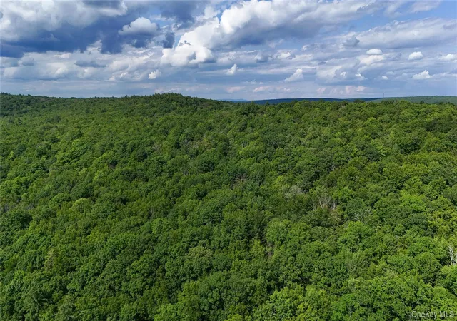 Homes for sale in Forestburgh, NY | 242 Denton Falls Rd, Forestburgh, NY 12777 | MLS# 1022573