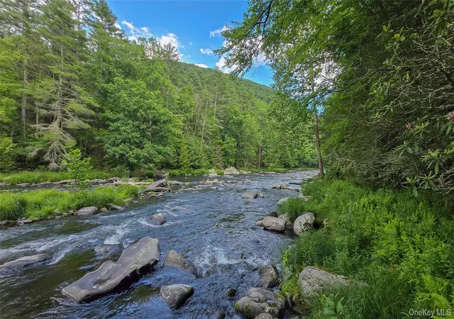 Homes for sale in Forestburgh, NY | 242 Denton Falls Rd, Forestburgh, NY 12777 | MLS# 1022573