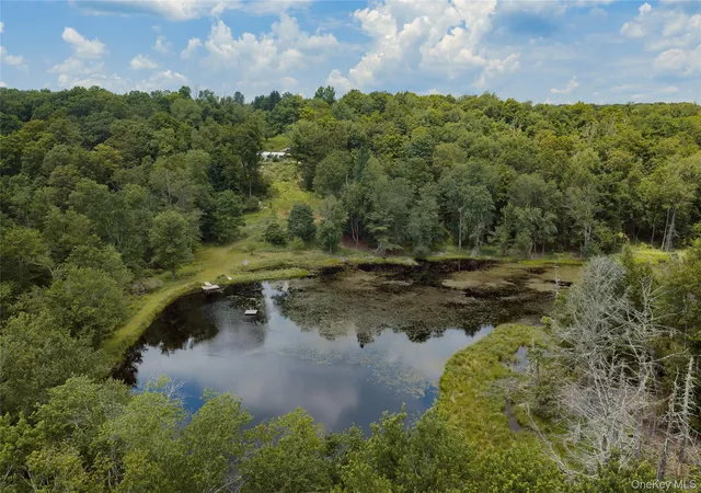 Homes for sale in Fallsburg, NY | 689 Church Rd, Fallsburg, NY 12763 | MLS# 1022581