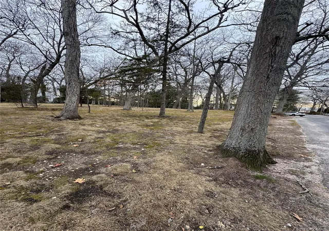 2nd image of Dogwood Dr, Brookhaven, NY 11790 | MLS# 1022655