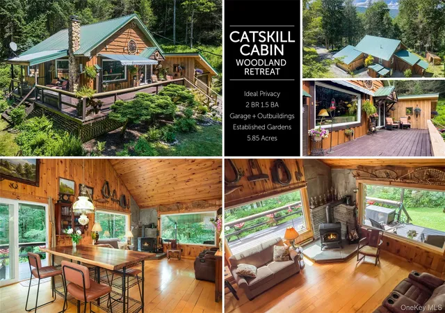 Homes for sale in Colchester, NY | 747 Crystal Meadows Rd, Colchester, NY 13782 | MLS# 1023034