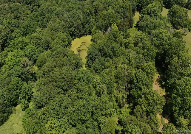Photo 2 of Land for sale at 110 Purgatory Rd, Hamptonburgh, NY 10916 | MLS# 1023203 | Listing updated on 2026-08-09