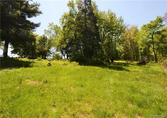 Photo 3 of Land for sale at 110 Purgatory Rd, Hamptonburgh, NY 10916 | MLS# 1023203 | Listing updated on 2026-08-09
