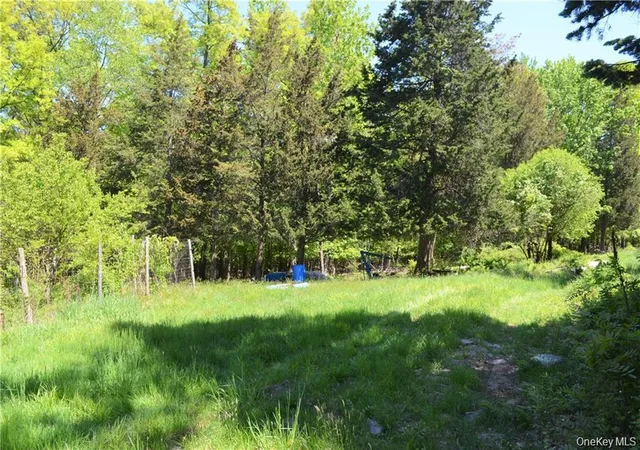 Photo 4 of Land for sale at 110 Purgatory Rd, Hamptonburgh, NY 10916 | MLS# 1023203 | Listing updated on 2026-08-09