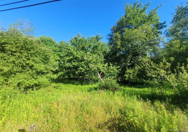 Photo 3 of Land for sale at 55 State St, Liberty, NY 12754 | MLS# 1023244 | Listing updated on 2026-07-09