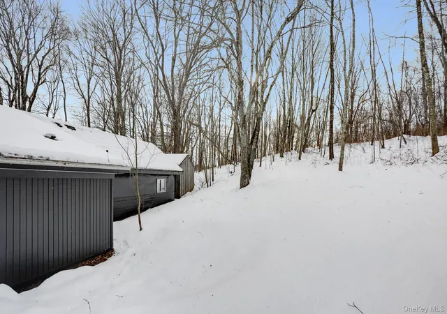 Homes for sale in Pleasant Valley, NY | 62 Netherwood Plz, Pleasant Valley, NY 12578 | MLS# 1023315