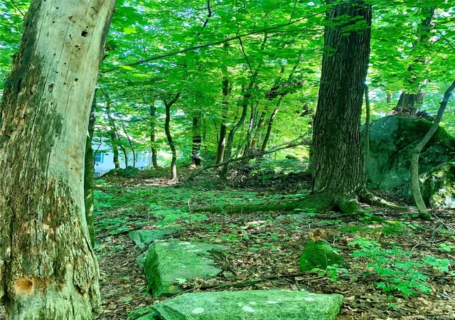 4th image of 15 Church St, Hyde Park, NY 12538 | MLS# 1023318
