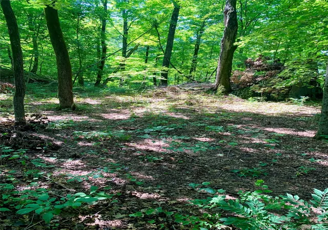 5th image of 15 Church St, Hyde Park, NY 12538 | MLS# 1023318