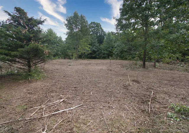23rd image of 0 Church, Hudson, NY 12534 | MLS# 1023518