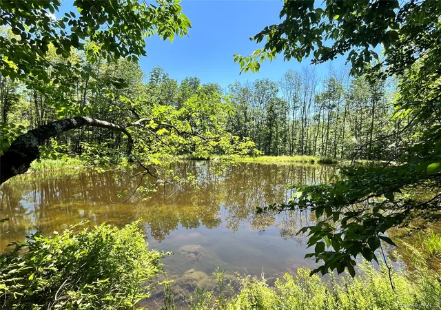 Homes for sale in Liberty, NY | Upper Pond Dahlia Rd W, Liberty, NY 12758 | MLS# 1024035