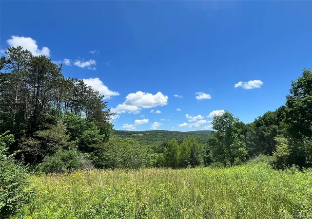 Homes for sale in Liberty, NY | Lower Pond Dahlia Rd W, Liberty, NY 12758 | MLS# 1024192