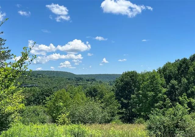 Homes for sale in Liberty, NY | Lower Pond Dahlia Rd W, Liberty, NY 12758 | MLS# 1024192