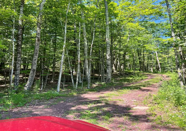 Homes for sale in Liberty, NY | Lower Pond Dahlia Rd W, Liberty, NY 12758 | MLS# 1024192